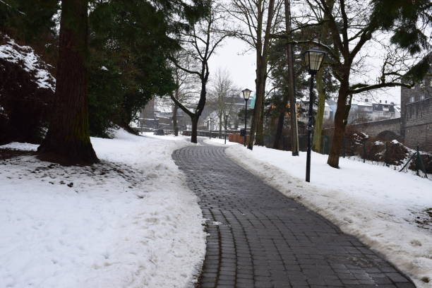 avenida de parque en la nieve, mayen - tree park avenue footpath fotografías e imágenes de stock