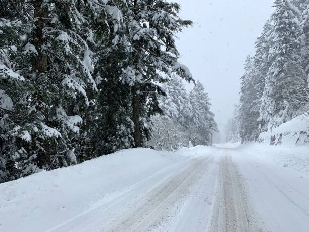 istock snowy road that crosses a pine forest 1127075039