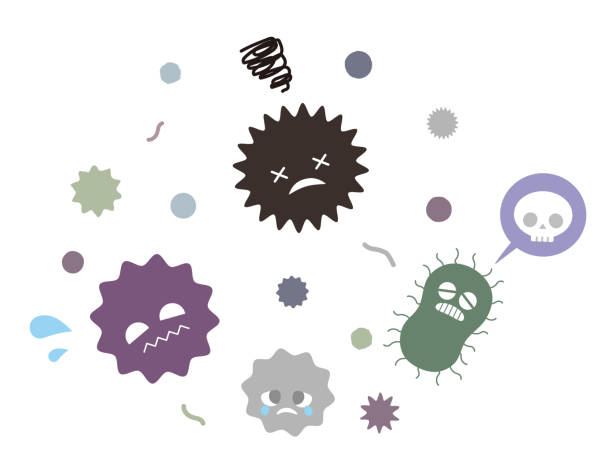 Bacteria Vector Art Graphics Freevector Com