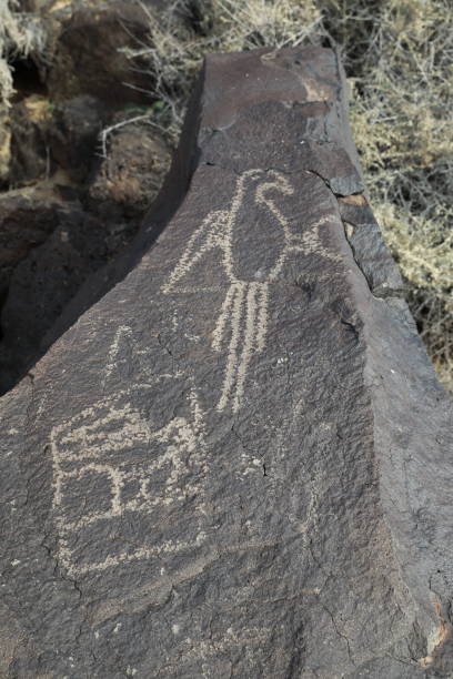 사크 국립 기념물 앨버커키, 뉴 멕시코에서 보카 negra에서 암각화 - cave painting north american tribal culture ancient pueblo 뉴스 사진 이미지