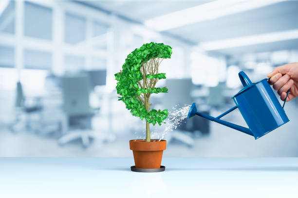istock Euro income growth concept 1127078090