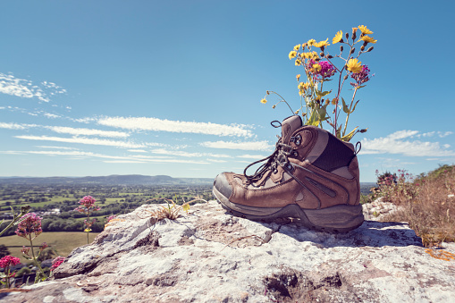 Hiker hiking boots resting with wildflowers on a mountain trail with distant views of countryside in summer sunshine