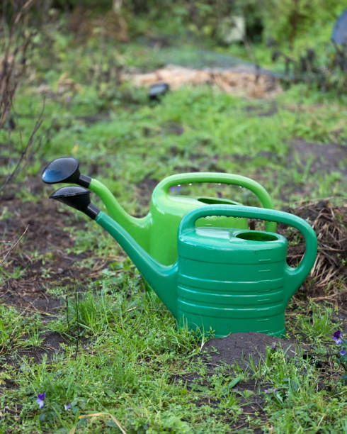 istock two green watering cans on soil of garden 1127082584