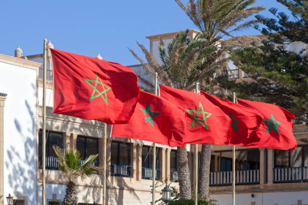 bandiere marocchine - moroccan flags foto e immagini stock