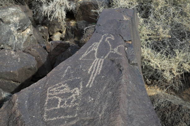 사크 국립 기념물 앨버커키, 뉴 멕시코에서 보카 negra에서 암각화 - cave painting north american tribal culture ancient pueblo 뉴스 사진 이미지