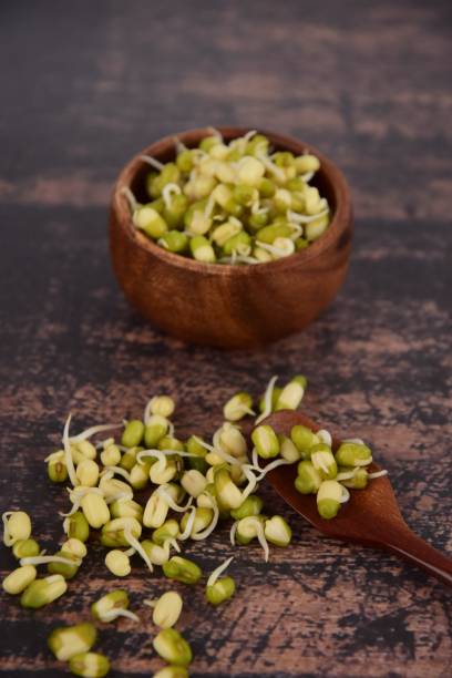 istock Mung bean sprouts in wooden bowl on rustic background 1127085113