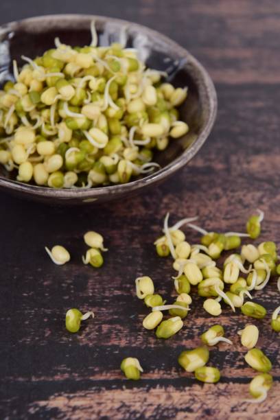 istock Bowl of mung bean sprouts on wooden background 1127085151