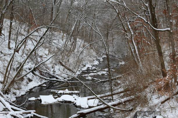 istock Flowing Stream In Snowy Woods 1127087908