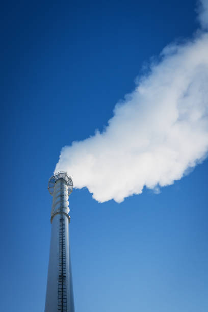 istock Biomass co-generation power plant 1127089629