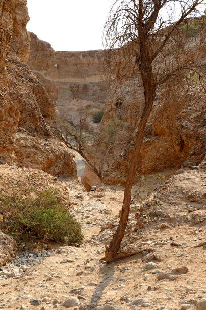 istock Sesriem Canyon - Sossusvlei - Namibia Africa 1127090831