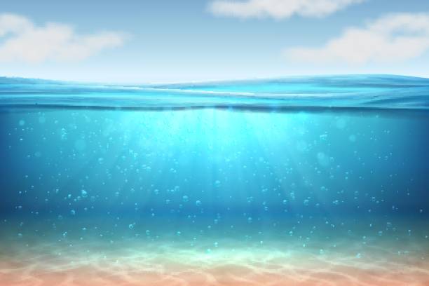 ilustraciones, imágenes clip art, dibujos animados e iconos de stock de fondo submarino realista. agua profunda del océano, bajo nivel de agua, horizonte de azul de la onda de los rayos de sol. concepto de vector 3d superficial - inferior view illustrations