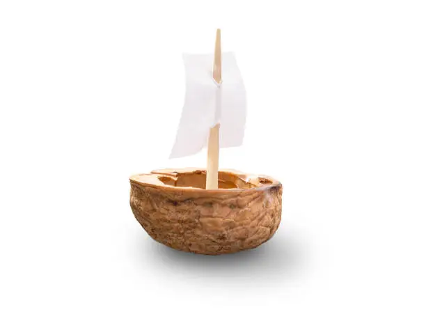 A toy made with a walnut shell with a sail, isolated on white background