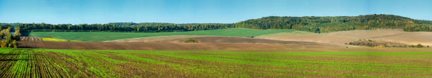 istock Big panoramic view of colored lines of fields 1127095834