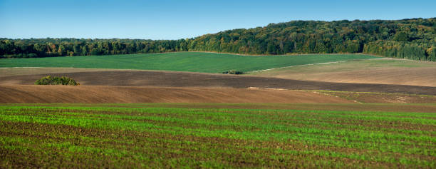 istock panoramic appearance of colored lines of fields 1127095839