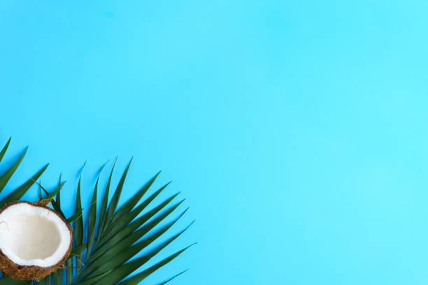 istock summer vacation, sea shore, tropical beach layout 1127097729