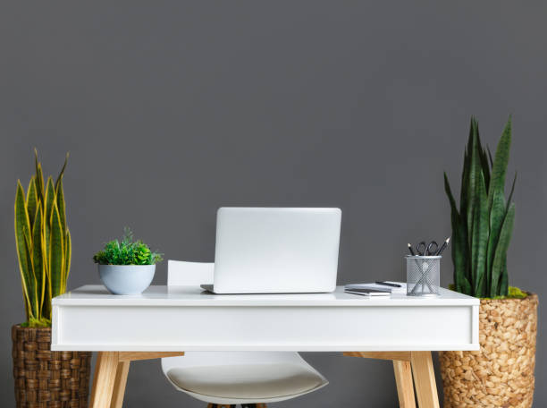 istock Stylish workplace with laptop and plants in pots 1127101377