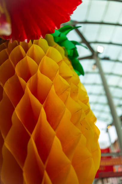 istock Lunar New Year Singapore 1127103920