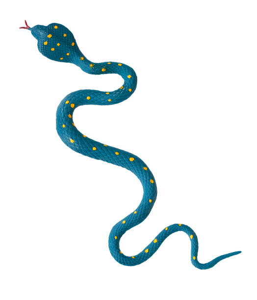 istock Fake snake toy, rubber animal for game. 1127104941