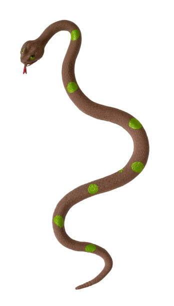 istock Fake snake toy, rubber animal for game. 1127104953