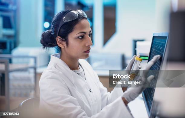Female Scientist Working In The Lab Using Computer Screen Stock Photo - Download Image Now