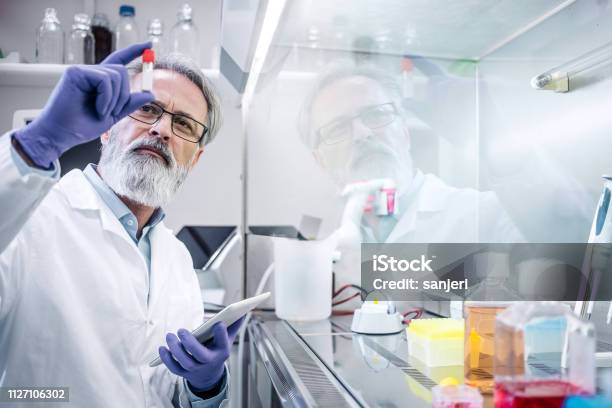 Male Scientist Working In The Digestorium Stock Photo - Download Image Now - Scientist, Laboratory, Research