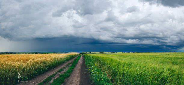 istock Panoramic view of empty ground country road passing through the fields 1127106355