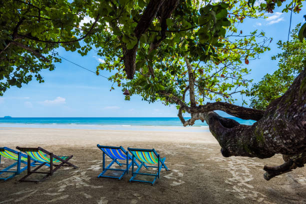 istock Tropical tree and beach chair at white sand beach and blue sea 1127111722