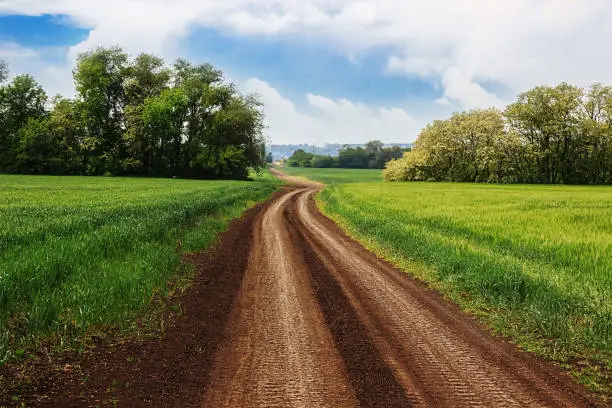 Illustration. Spring landscape. Dirt road between fields. Background image.