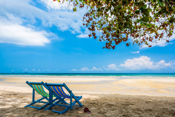 istock Tropical tree and beach chair at white sand beach and blue sea 1127111942