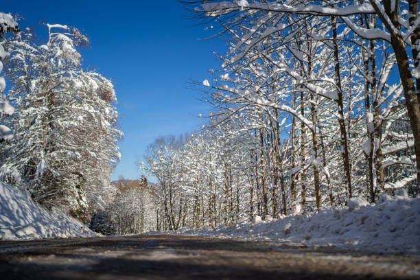 leerer landstraße niedrigen winkel ansicht an sonnigen wintertag mit blauem himmel - winterroad stock-fotos und bilder