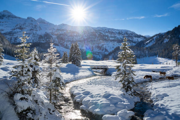 winter wonderland small river stream winding through beautiful idyllic snow covered landscape valley between mountains on sunny day strashaped sun european alps austria
