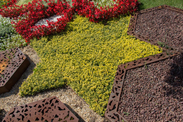 istock Yellow flowers forming a star of David on display 1127115787