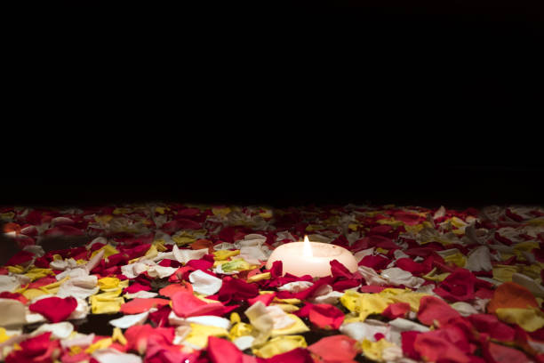 istock Red rose petals in the bowl in spa salon 1127116245