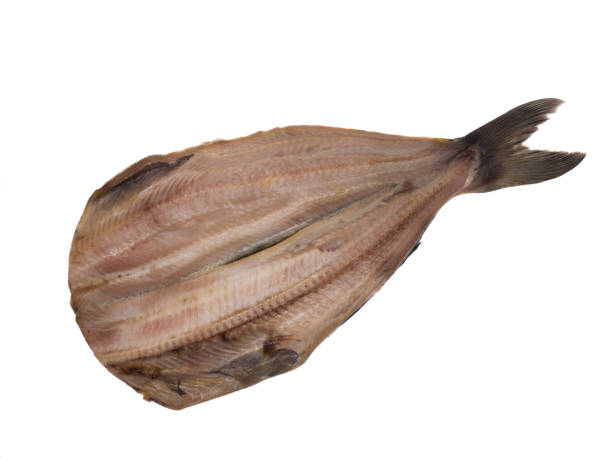 istock Dried Shima Hocke 1127118686