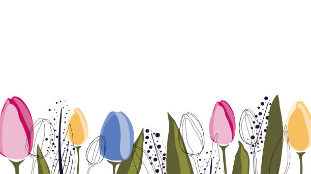 vektor-hintergrund mit tulpen und blätter - tulip bouquet stock-grafiken, -clipart, -cartoons und -symbole