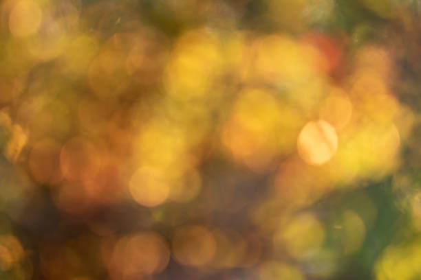 istock colorful light bokeh natural autumn forest background 1127125141