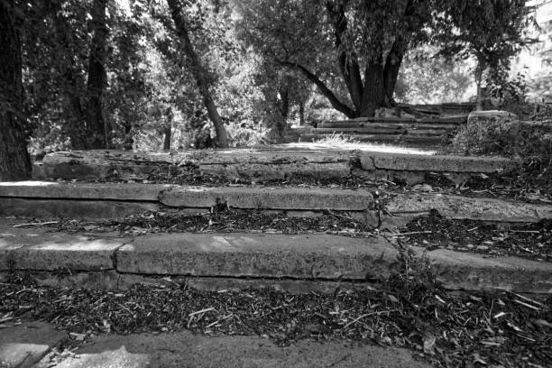 istock Brick grunge Stone stairs with leaves, defocused background 1127129082