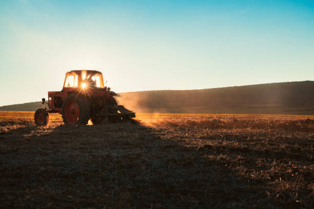 istock Tractor cultivating field with dust at spring, sunset. 1127129446