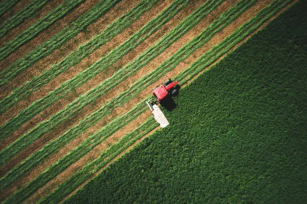 Photo of Tractor moving agricultural green field, aerial view. Agriculture and harvest.