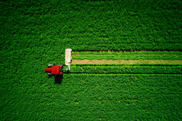 istock Tractor mowing green field, aerial view 1127129563