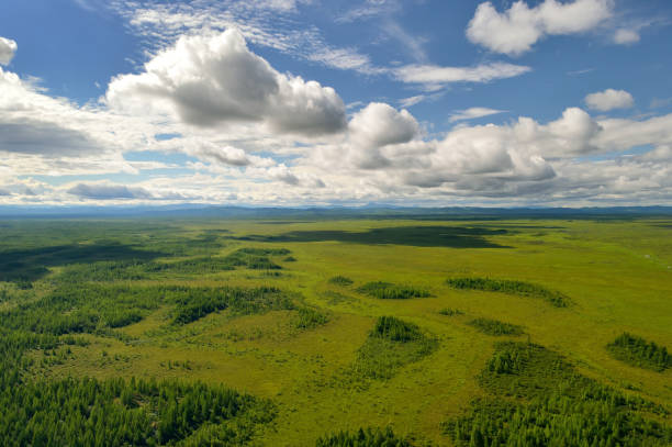 Aerial view of the green forest in the  North of  Khabarovsk territory, far East, Russia. stock photo