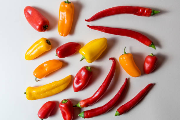 istock Layout with tomato and peppers of different colors. 1127130927