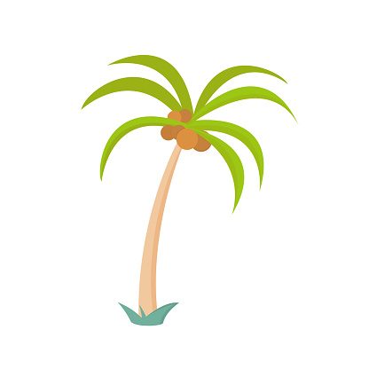 Palm tree icon on white background for graphic and web design, Modern simple vector sign. Internet concept. Trendy symbol for website design web button or mobile app