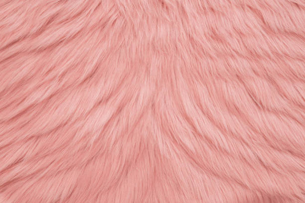 istock Pink fur background. Pink sheepskin background and texture. 1127133196