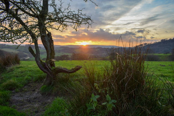 istock Sunrise in the valley 1127134637