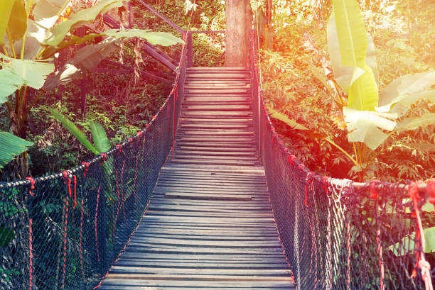 istock Perspective rope bridge on the forest 1127134897