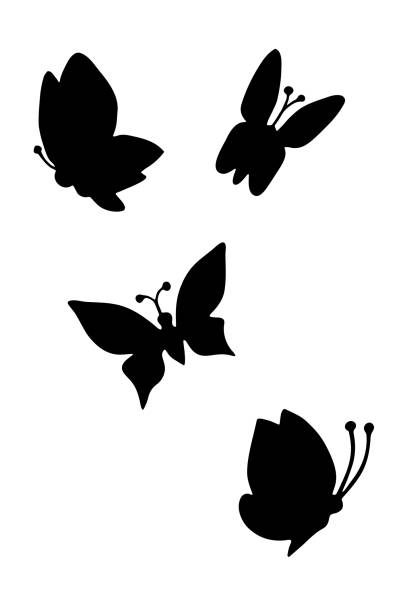ilustrações, clipart, desenhos animados e ícones de silhueta de borboletas desenho preto e branco - fly line art insect drawing