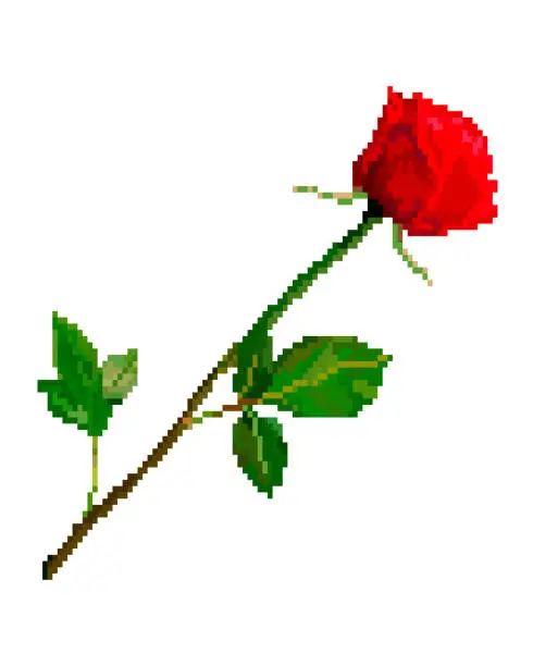 Vector illustration of Pixel art red rose flower