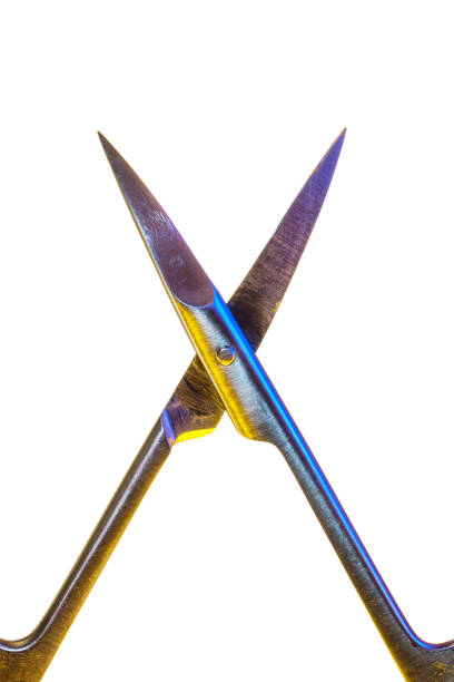 istock Manicure scissors on a white background 1127138318