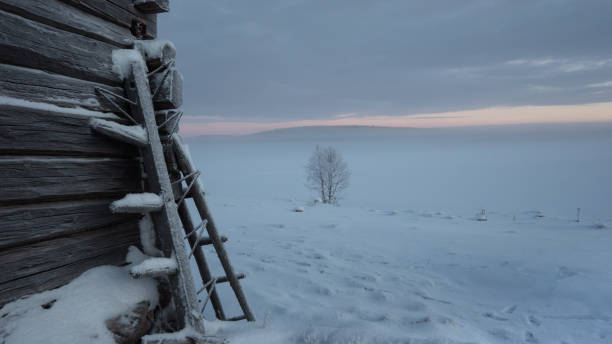 istock Winter in Lapland 1127139874